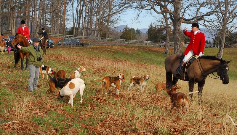 Loudoun Hunt in Action