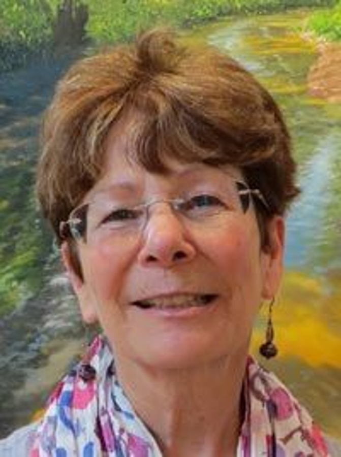 Jeanne Niccolls, retired collections manager, Friends of Franklin Park board member, consultant, local arts volunteer, and amateur quilter